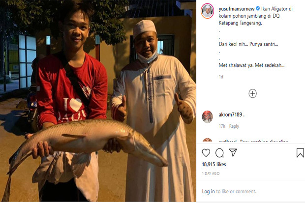 Fakta Seputar Ikan Aligator...