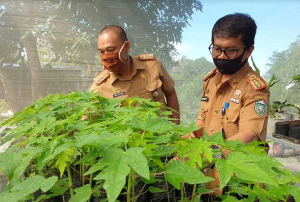 Dinas Ketahanan Pangan...