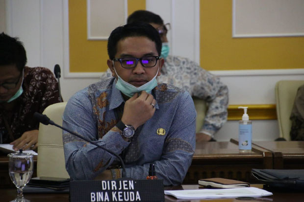 Kemendagri Panggil Kepala...