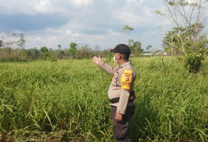 Nasib Si Lumbung Pangan...