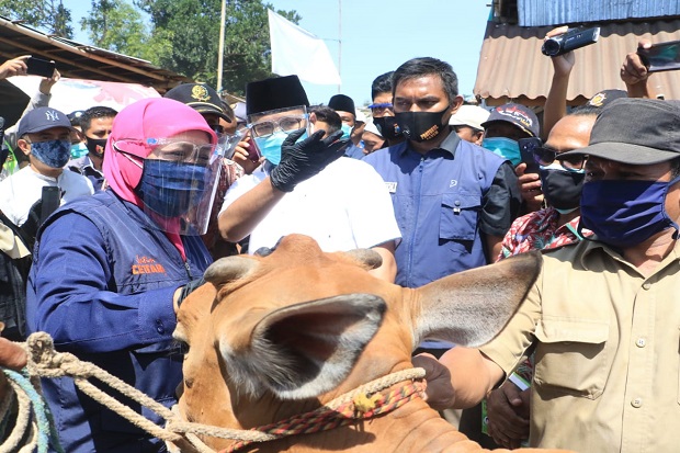 Jelang Idul Adha, Khofifah...