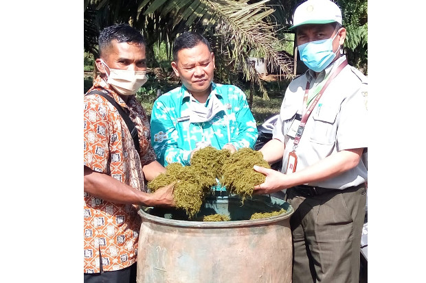 Kementan: Koordinasi...