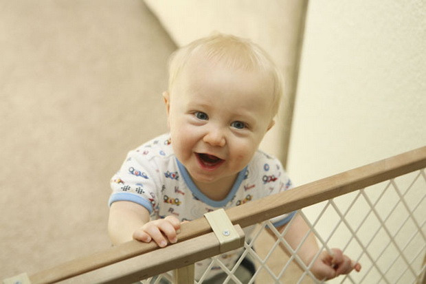 Pampers Hadirkan Baby...