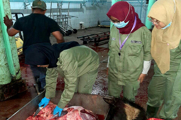 RPH Salatiga Layani...