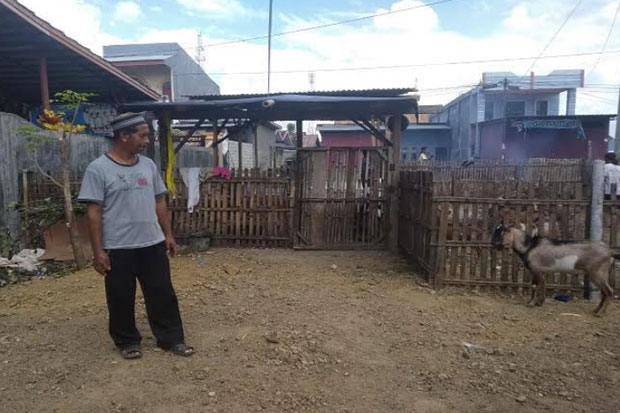 Penjualan Hewan Kurban...