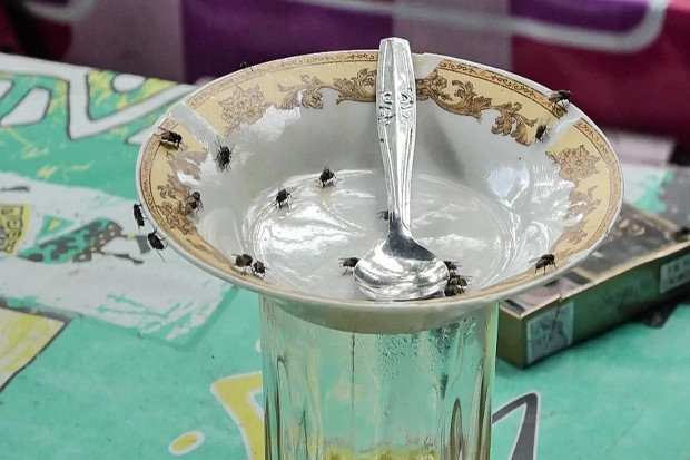 Sudah Sepekan Serdadu...