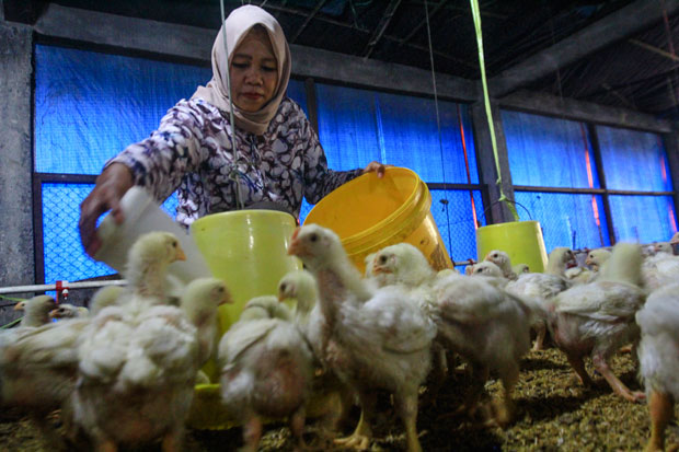 Kementan Pastikan Peduli...