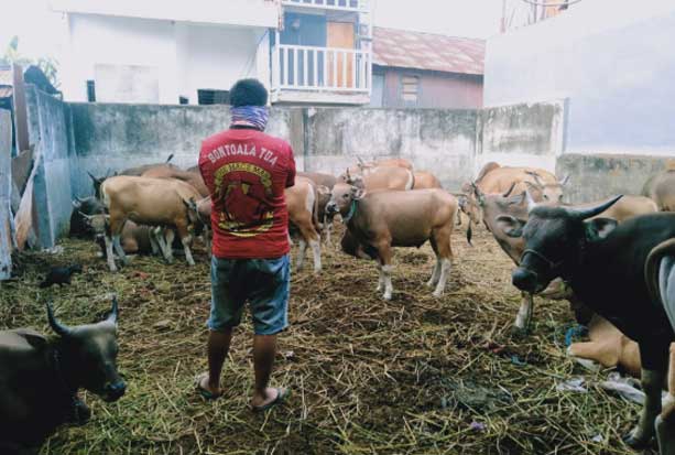 Ragam Cara Kelompok...