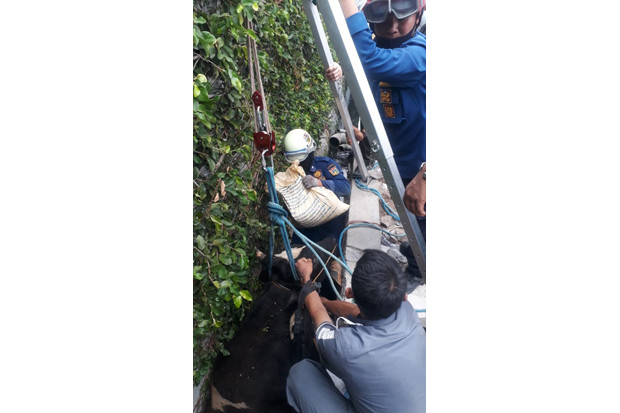 Jatuh ke Got, Petugas...