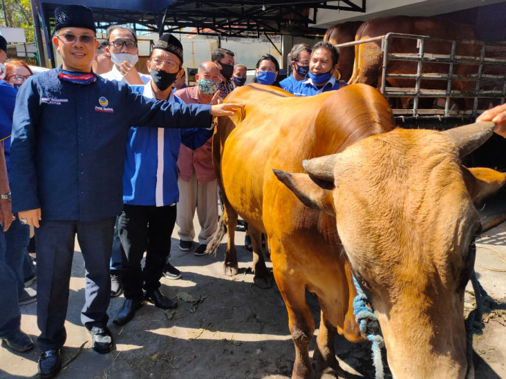 Idul Adha, Partai NasDem...