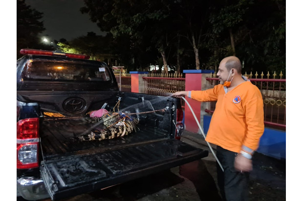 Heboh, Warga Depok Tangkap...