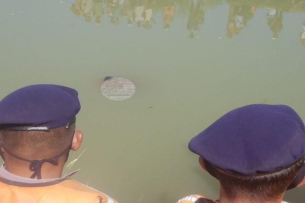 Tenggelam saat Berenang...