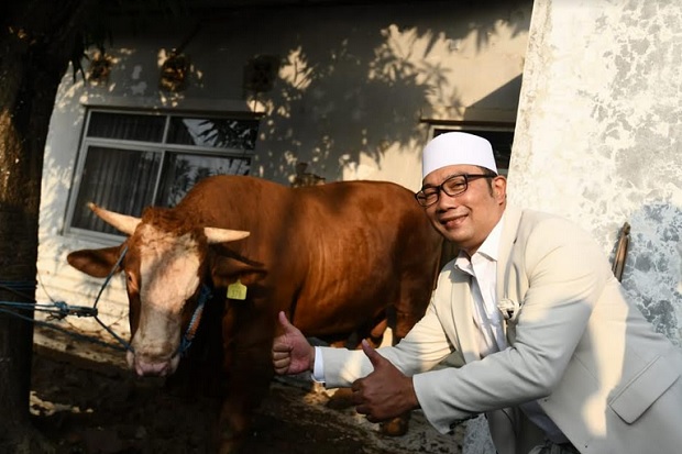 Ridwan Kamil Kurbankan...