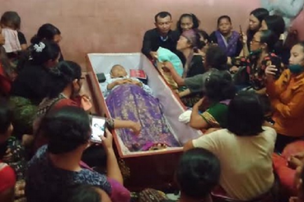 Tertimpa Pohon Tumbang,...