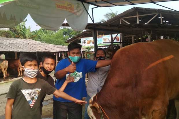 Sempat Diusir di Peternakan,...