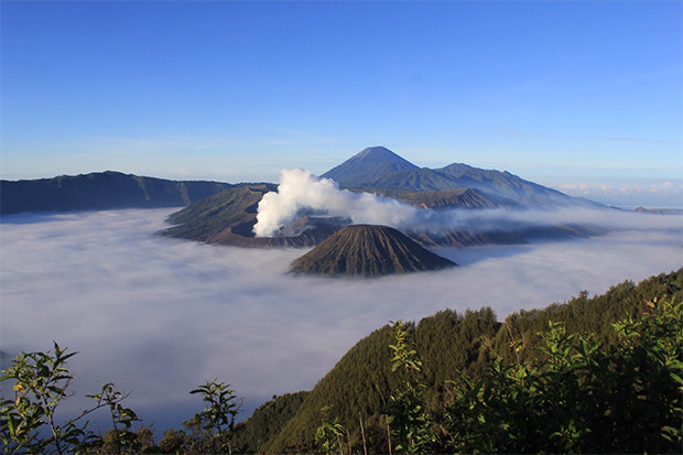 3 Tren Wisata yang Muncul...