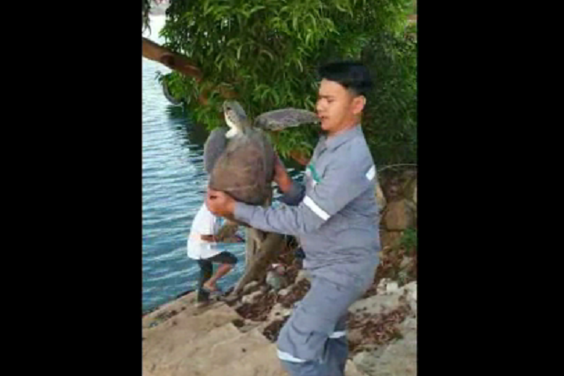 Terdampar di Pantai,...