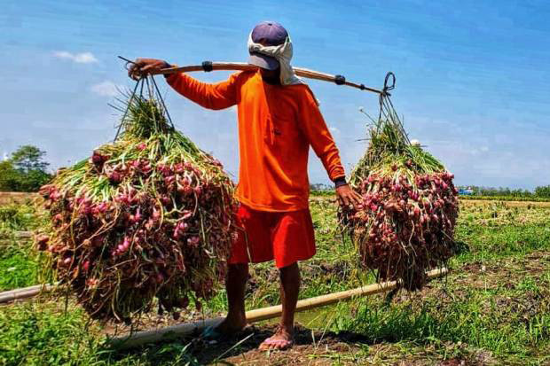 Peran Kostratani Jateng...