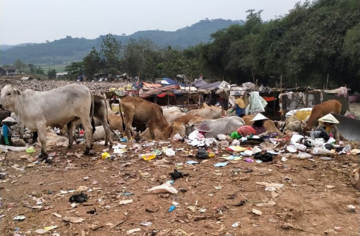 Pengangkutan Sampah...