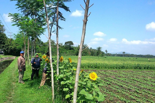 Petani dan Penyuluh...