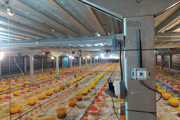 Solusi flexIoT XL Smart...
