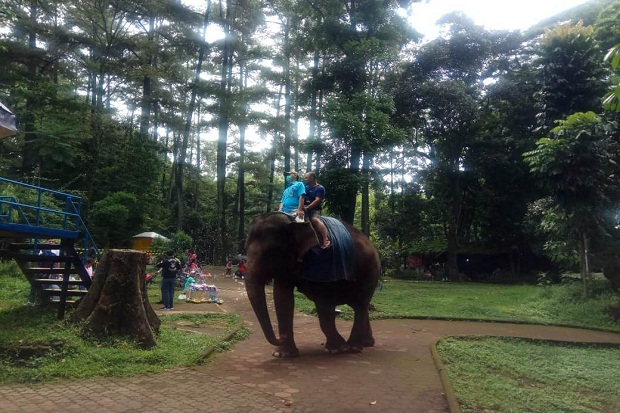 3 Kawasan Bandung Raya...
