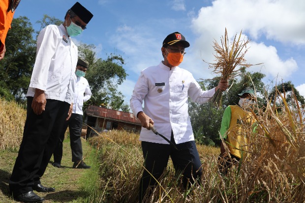Kabupaten Agam Surplus...