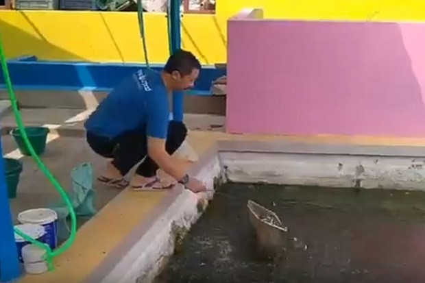 Budidaya Ikan Banyak...