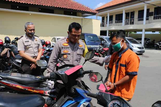Pedagang Sayur Curi...