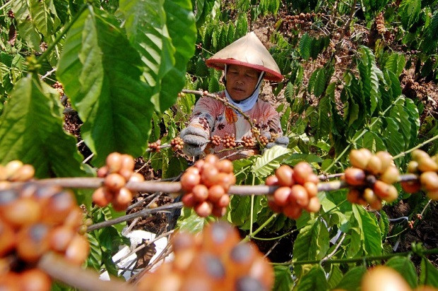 Empat Tips Meracik Indonesia...