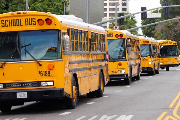 Para Pengemudi Bus Sekolah...