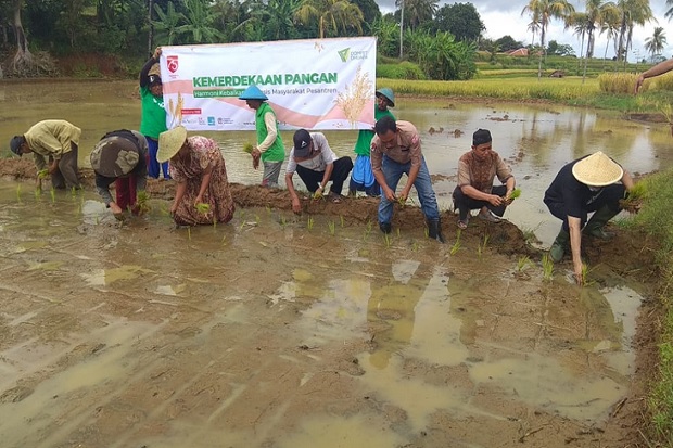 Dompet Dhuafa Siap Tanami...