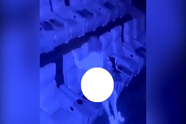 Viral, Pasangan Kekasih...