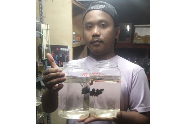 Berawal dari Hobi, Nasogi...