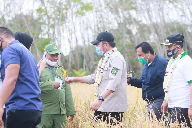 Genjot Produksi Beras,...