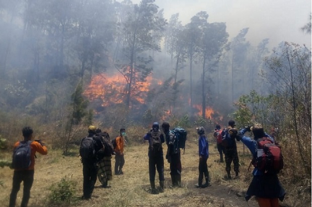 Pembakaran Lahan oleh...