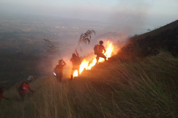 Gunung Penangungan Terbakar,...