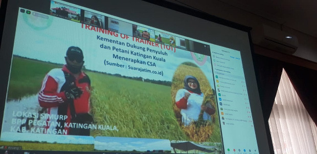 Penyuluh BPP Kostratani...