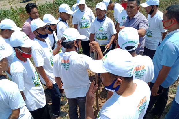 Petani dan Penyuluh...