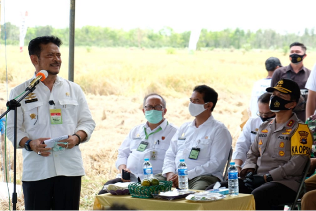 Bantu Ketahanan Pangan...