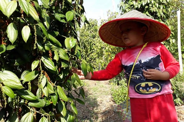 Kabar Positif, Petani...