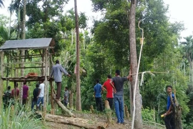 Gajah Liar Berkeliaran,...
