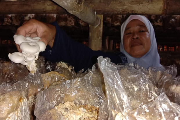 Kualitas Badan Usaha...