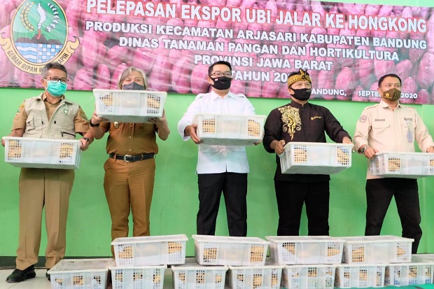 Kabupaten Bandung Ekspor...