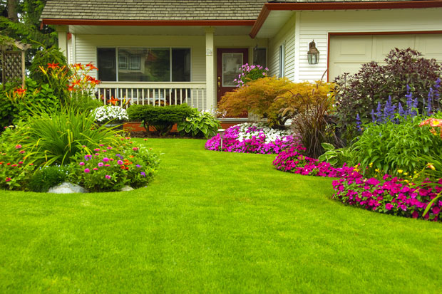 Tips Renovasi Rumah,...