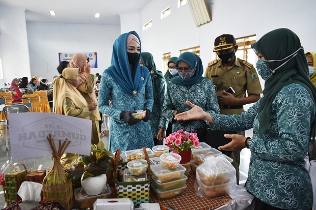Ketua TP PKK Novita...