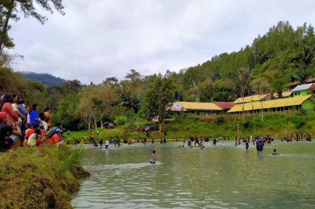 Hasil Panen Melimpah,...