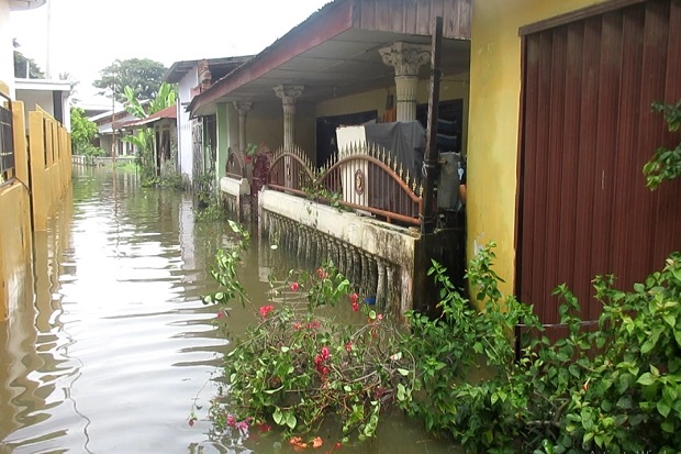 Diguyur Hujan, Ribuan...
