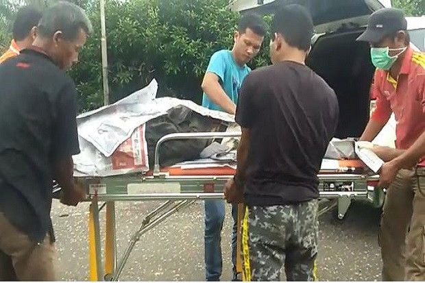 Nyenggol Truk saat Mengendara...