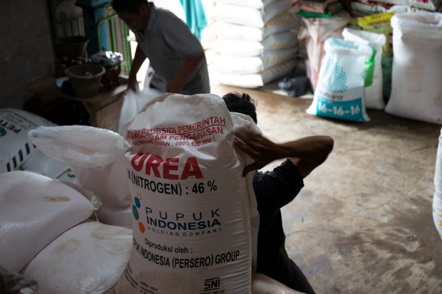 Petani Mulai Mengeluh,...